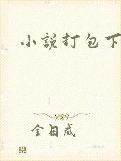 小说打包下载