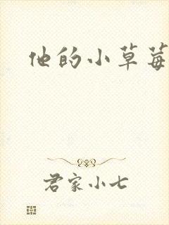 他的小草莓