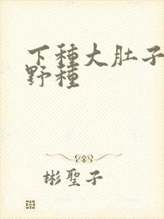 下种大肚子怀孕野种