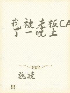 我被老板CAO了一晚上