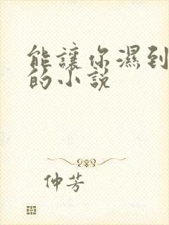 能让你湿到不行的小说