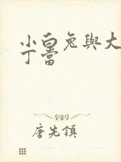 小白兔与大灰狼丁当