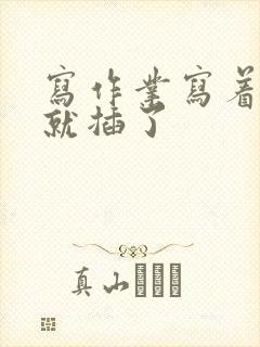 写作业写着写着就插了