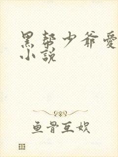 黑帮少爷爱上我小说