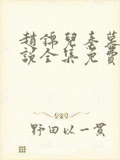 赵锦儿秦慕修小说全集免费