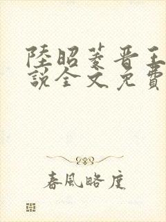 陆昭菱晋王的小说全文免费阅读