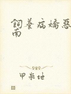 饲养病娇恶龙指南