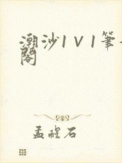 潮沙1∨1笔趣阁