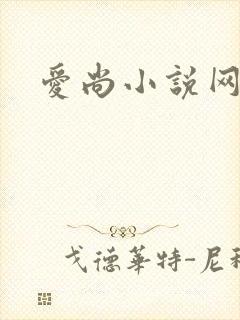 爱尚小说网
