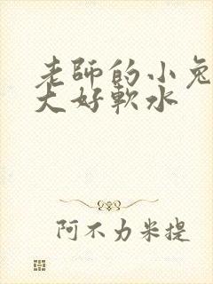 老师的小兔子好大好软水