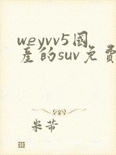 weyvv5国产的suv免费