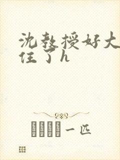 沈教授好大含不住了h