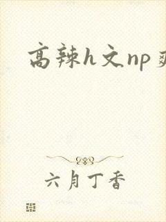 高辣h文np爽
