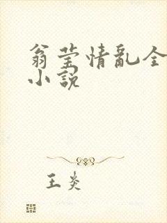 翁莹情乱全部篇小说