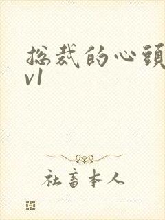 总裁的心头宝1v1