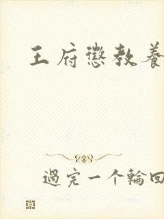 王府惩教养日常