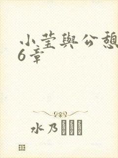 小莹与公憩第26章