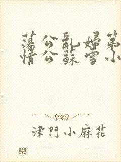 荡公乱妇第1章情公苏雪小说