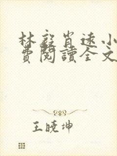 林毅肖远小说免费阅读全文最新章节