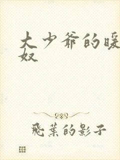 大少爷的暖床小奴