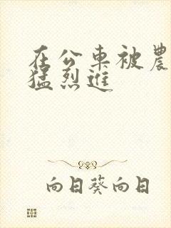 在公车被农民工猛烈进