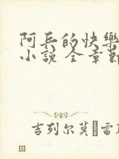 阿兵的快乐生活小说 全章节阅读免费