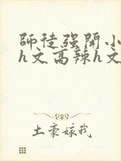 师徒强开小嫩苞h文高辣h文