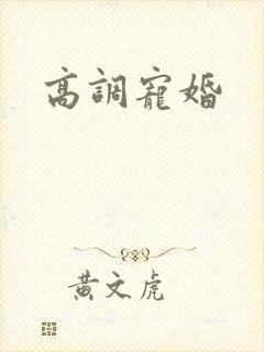高调宠婚