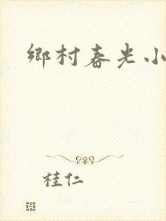 乡村春光小说