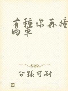 有种你再撞一下肉车