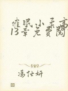 催眠小柔高达第13章免费阅读