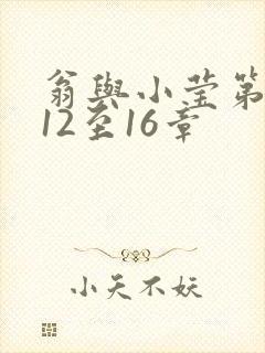 翁与小莹第十部12至16章