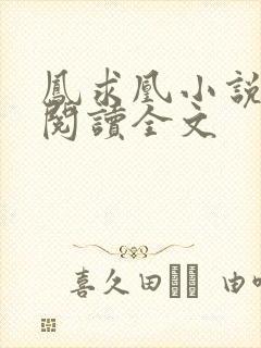 凤求凰小说免费阅读全文