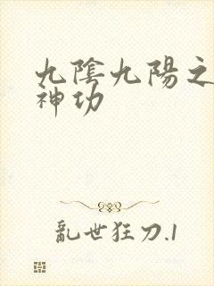 九阴九阳之阴阳神功