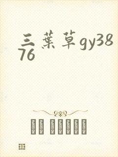 三叶草gy3876