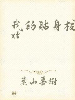 我的贴身校花txt