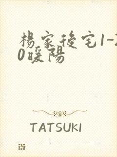 杨家后宅1-20暖阳