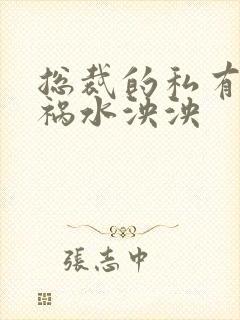 总裁的私有宝贝祸水泱泱