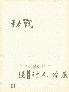 秘战