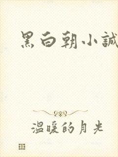 黑白朝小诚