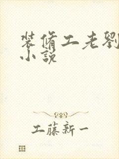 装修工老刘林雪小说