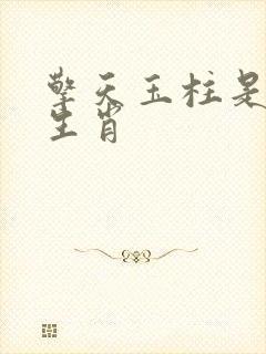 擎天玉柱是什么生肖