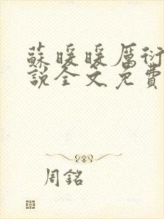 苏暖暖厉衍琛小说全文免费阅读