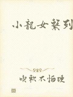 小龙女系列小说