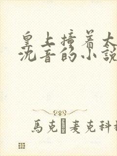 皇上撞着太子妃沈音的小说叫什么