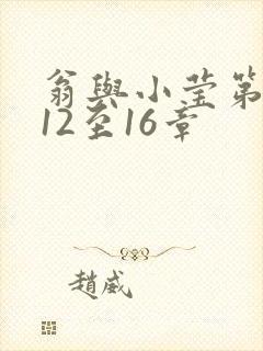 翁与小莹第十部12至16章