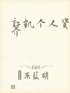 许凯个人资料简介