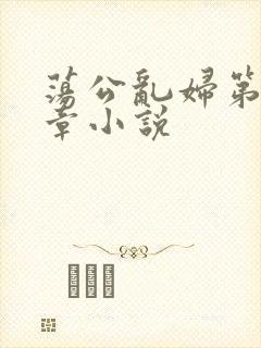 荡公乱妇第51章小说