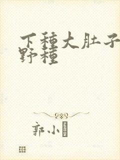 下种大肚子怀孕野种