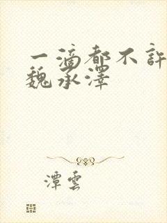 一滴都不许漏 魏承泽封面